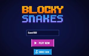 Blocky Snakes
