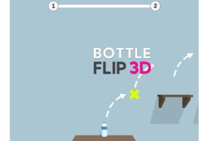 Bottle Flip